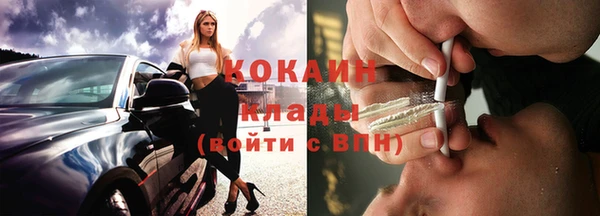 прущие грибы Абинск