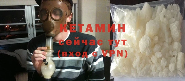 СК Алексин
