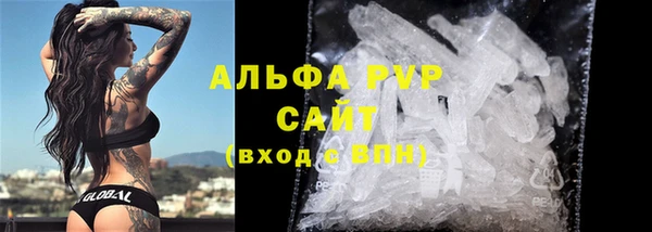 СК Алексин