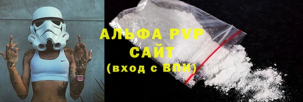 СК Алексин