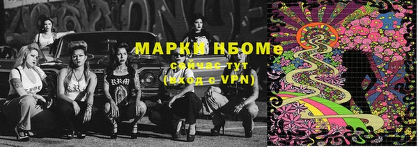 эйфоретик Алзамай