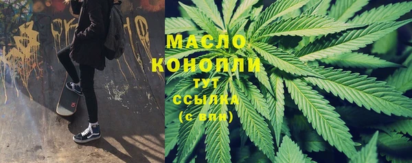 СК Алексин