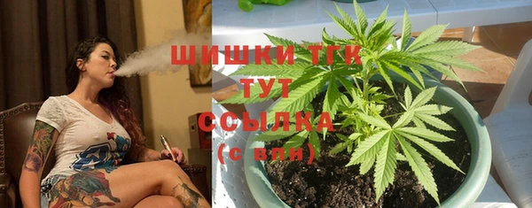 молекула духа Алексеевка