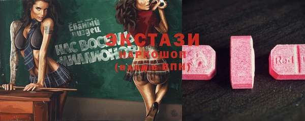 СК Алексин