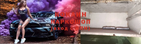 молекула духа Алексеевка